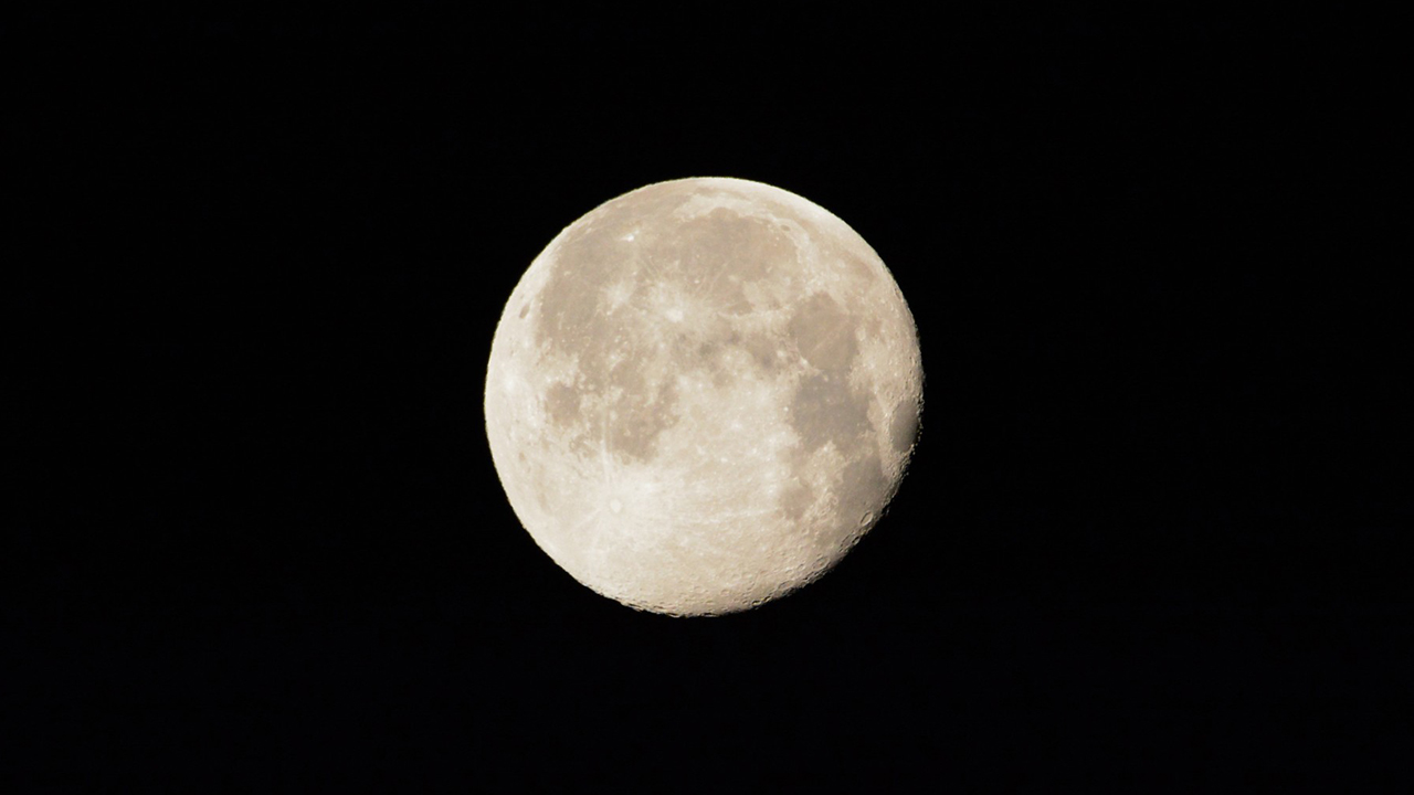 月面着陸の日(7月20日)|意味や由来・広報PRに活用するポイントと事例を紹介