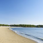 海の日(7月第3月曜日)|意味や由来・広報PRに活用するポイントと事例を紹介