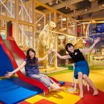 空飛ぶ火球は隕石だった。調査結果を即日発表した国立科学博物館広報が考える「伝わる」情報発信