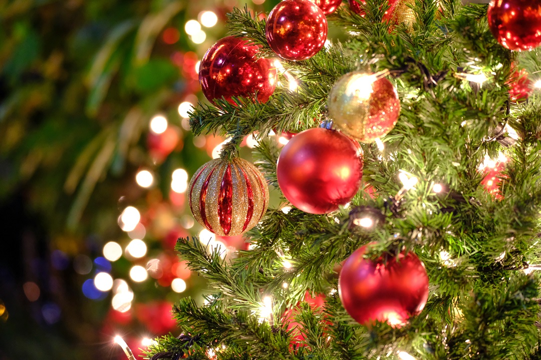 クリスマスツリーの日（12月7日）｜意味や由来・広報PRに活用するポイントや事例を紹介 | PR TIMES MAGAZINE