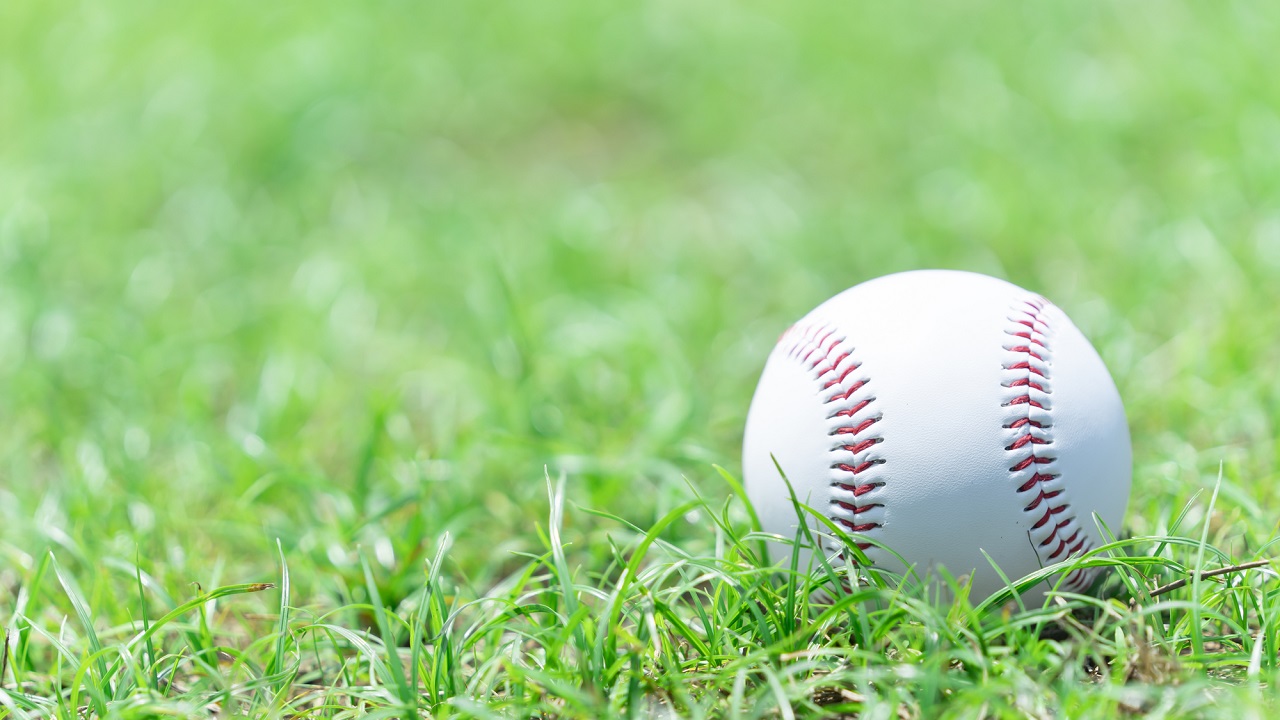 プロ野球の日(2月5日)|意味や由来・広報PRに活用するポイントと事例を紹介