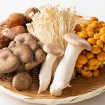 菌活の日(5月24日)|意味や由来・広報PRに活用するポイントと事例を紹介