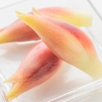 いいみょうがの日(6月13日)|意味や由来・広報PRに活用するポイントと事例を紹介