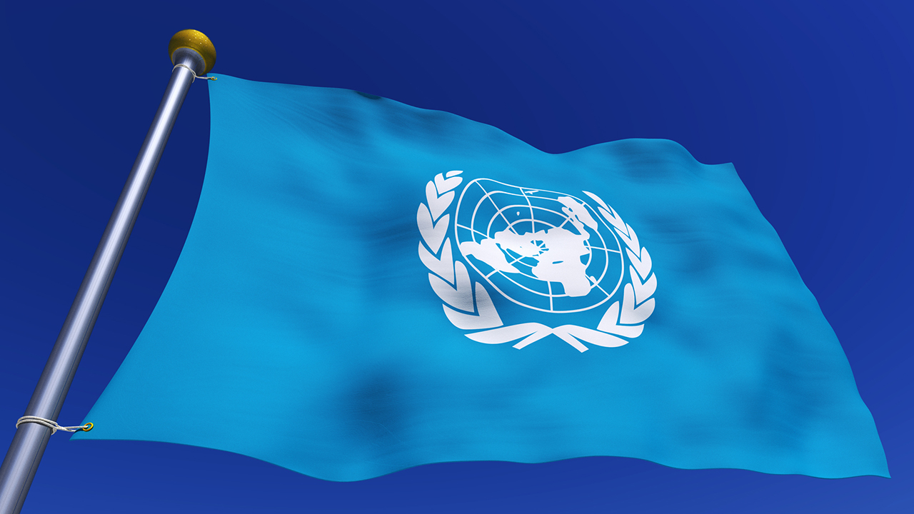 国連デー(10月24日)|意味や由来・広報PRに活用するポイントと事例を紹介