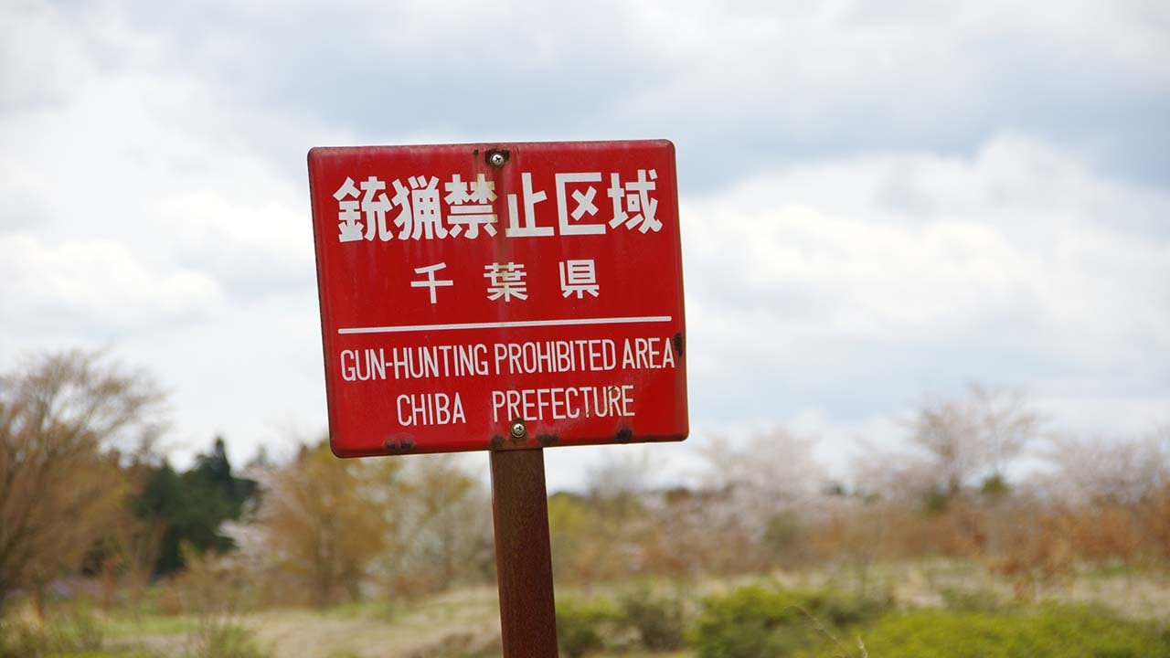 全国狩猟禁止の日(2月16日)|意味や由来・広報PRに活用するポイントと事例を紹介