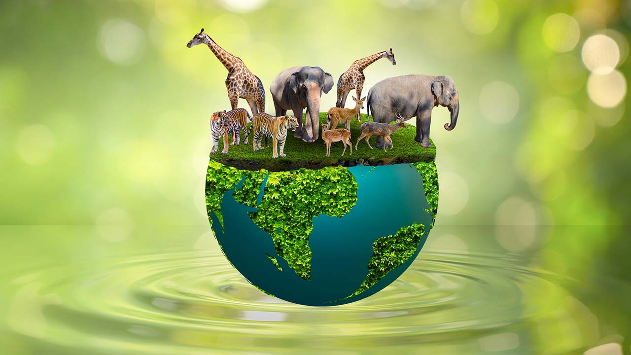 国際生物多様性の日（5月22日）｜意味や由来・広報PRに活用する