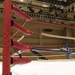 プロレス記念日(7月30日)|意味や由来・広報PRに活用するポイントと事例を紹介