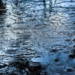 雨水の日(8月6日)|意味や由来・広報PRに活用するポイントと事例を紹介