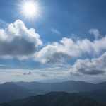 ひまわりの日(7月14日)|意味や由来・広報PRに活用するポイントと事例を紹介