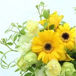 花の日(8月7日)|意味や由来・広報PRに活用するポイントと事例を紹介