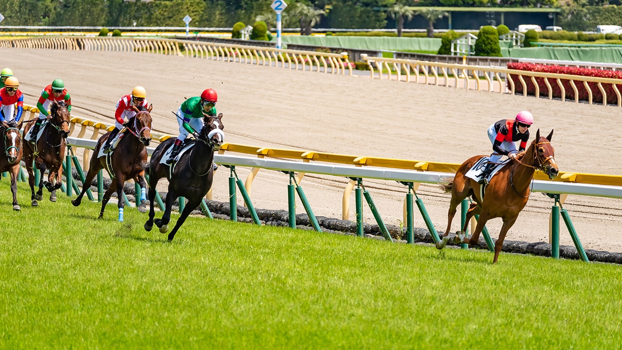 JRA 日本中央競馬会50年史 新・競馬百科 セット売り - CD