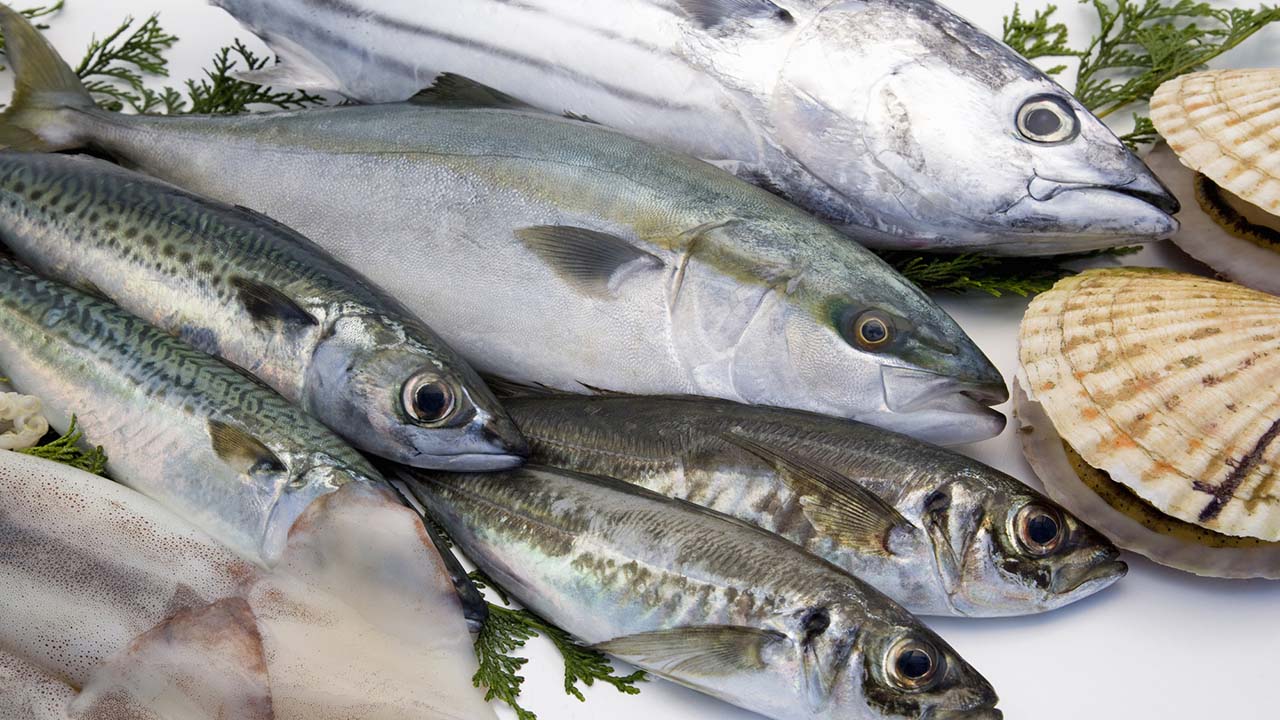 さかなの日(3月7日)|意味や由来・広報PRに活用するポイントや事例を紹介