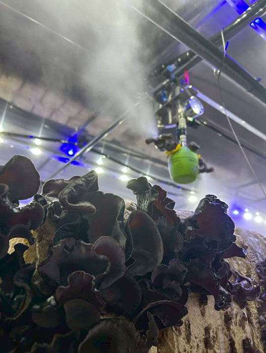 東日印刷株式会社さま03